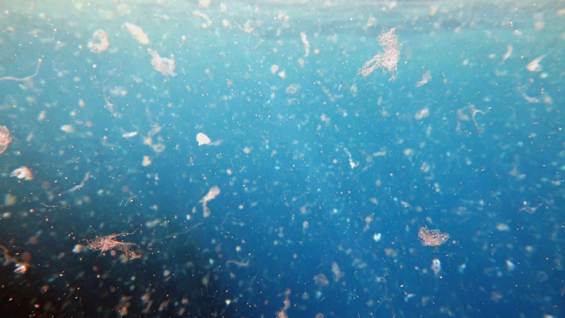 ocean jest pelen malenkich czasteczek plastiku znalezlismy sposob by sledzic je za pomoca satelitow